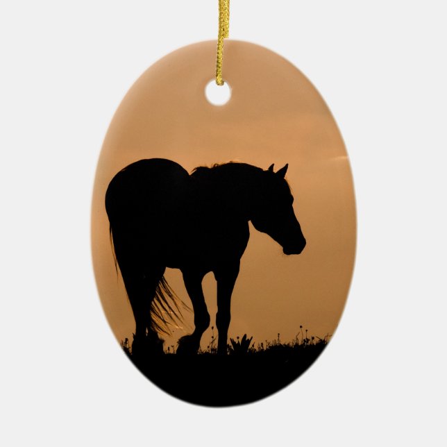 Wolkenkratzer bei Sunset Wild Horse Keramikornament (Vorne)