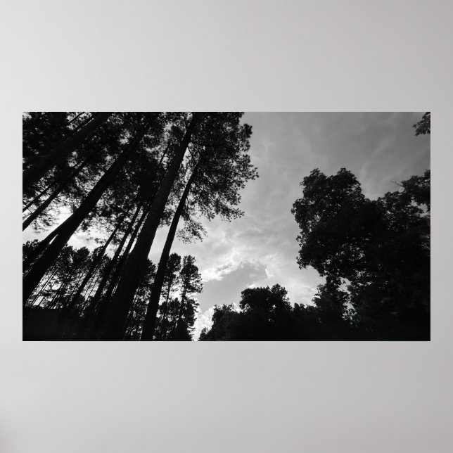 Wolkenkratzer, Plakat (Vorne)