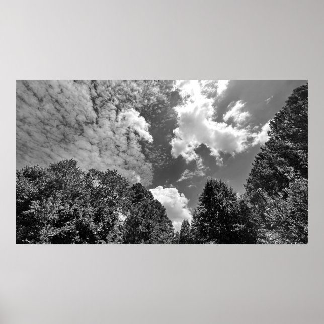 Wolkenkratzer, Plakat (Vorne)