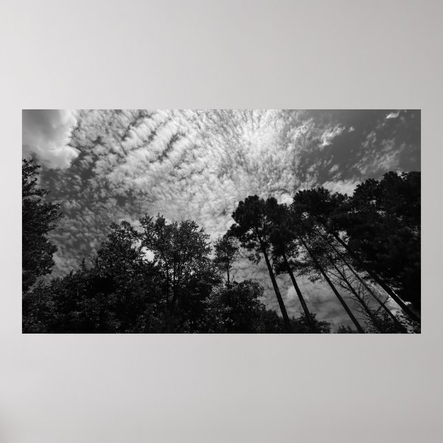 Wolkenkratzer, Plakat (Vorne)