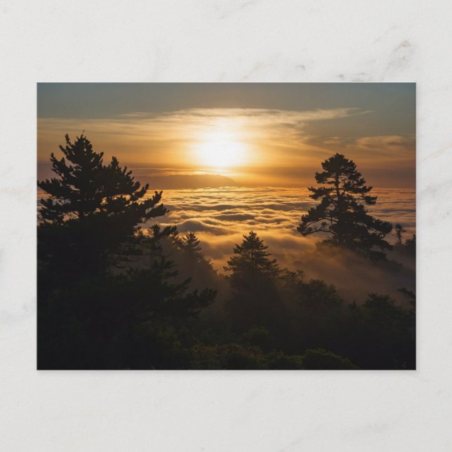 Wolkenmeer mit Sonnenuntergang Postkarte (Vorderseite)