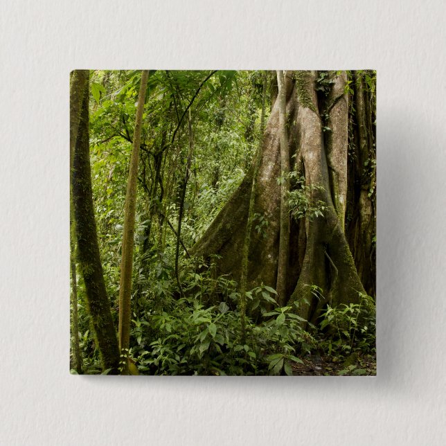 Wolkenwald, Bosque de Paz, Costa Rica Button (Vorderseite)