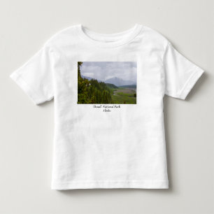wolkig in Denali Kleinkind T-shirt