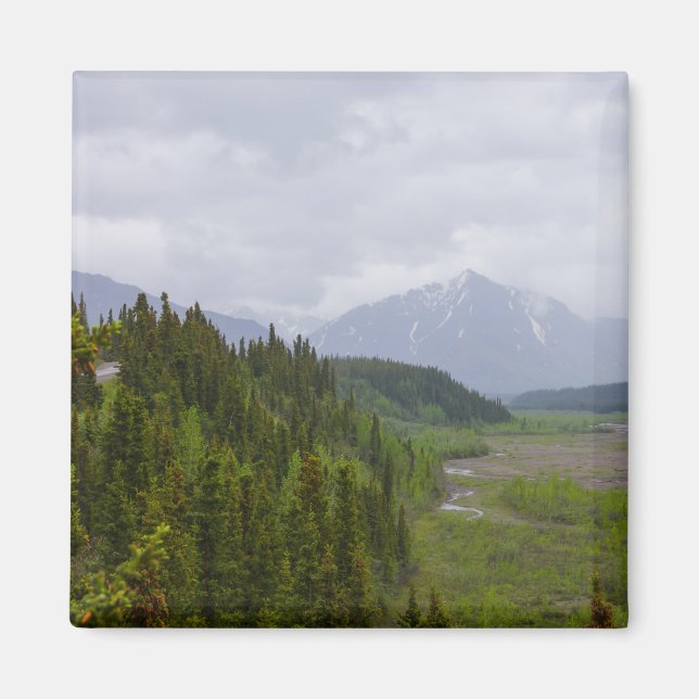 wolkig in Denali Magnet (Vorne)