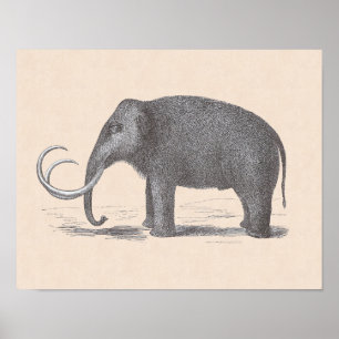 Wolliges Mammut-ausgestorbenes Mastodon-lustiges Poster