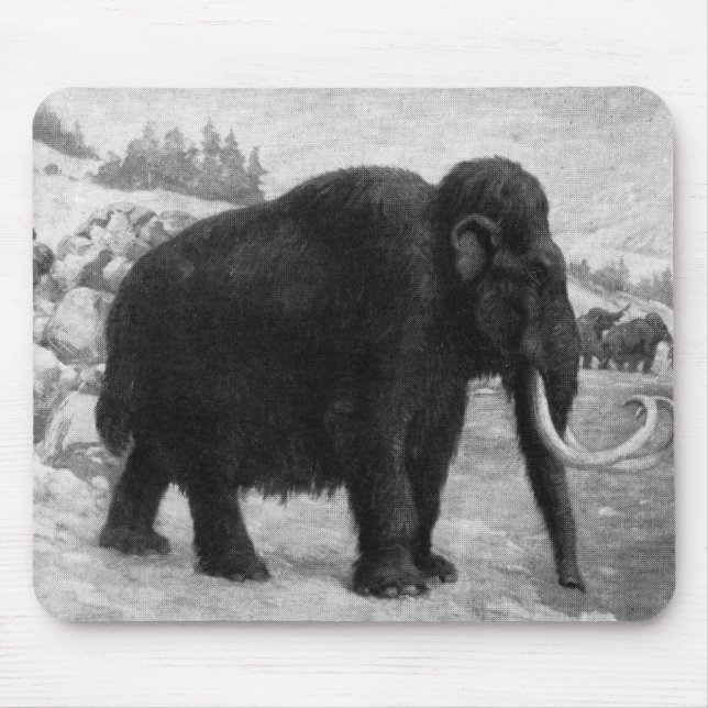 Wolliges Mammut-Mod-Schicksal Mousepad (Vorne)