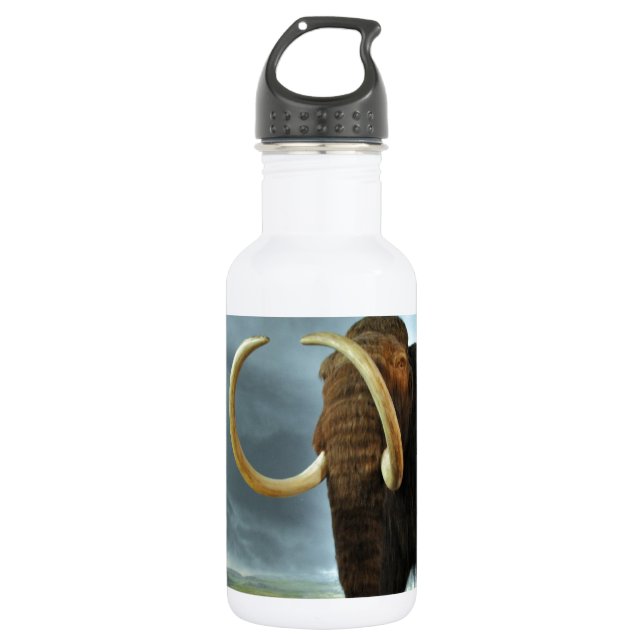 Wolliges Mammut-Mod-Schicksal Trinkflasche (Vorderseite)