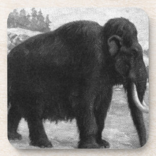 Wolliges Mammut-Mod-Schicksal Untersetzer