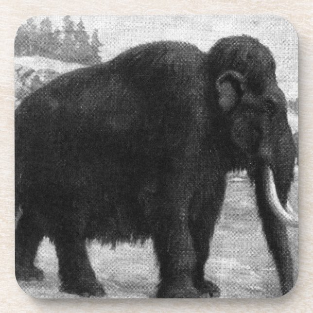 Wolliges Mammut-Mod-Schicksal Untersetzer (Vorderseite)
