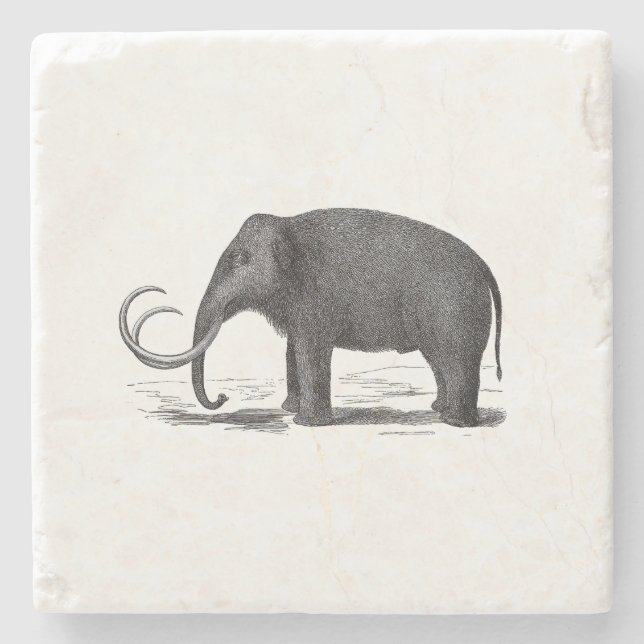 Wolliges Mammut-prähistorischer Elefant Steinuntersetzer (Vorderseite)