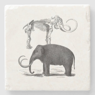 Wolliges Mammut-prähistorischer Elefant und Steinuntersetzer
