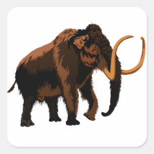 Wolliges Mammut Quadratischer Aufkleber