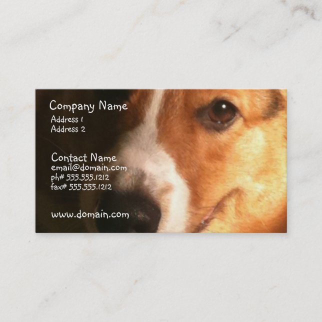 Wolljacken-Walisercorgi-HundeVisitenkarte Visitenkarte (Vorderseite)