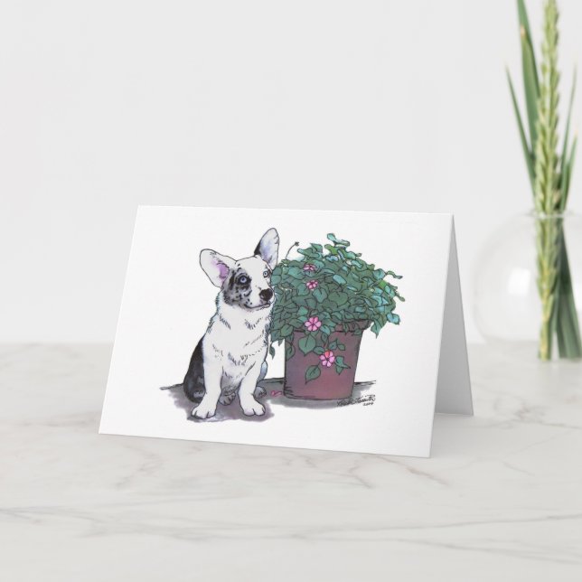 Wolljacken-WaliserCorgi Notecard ~ Blau Merle Karte (Vorderseite)