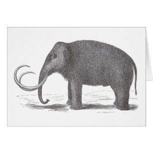 Wollmammut ausgestorben Mastodon Antique Print