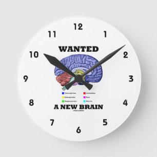Wollte ein neues Gehirn (anatomische Runde Wanduhr