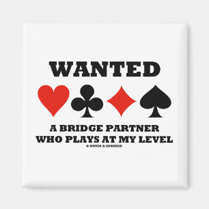 Wollte einen Brücken-Partner, der auf meinem Magnet