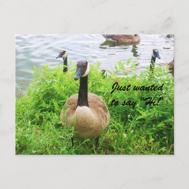 Wollte NUR "HI!" ZU SAGEN! Postkarte (Vorderseite)