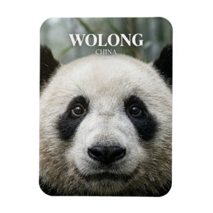 Wolong Nationalnaturreservat China Magnet