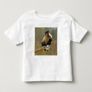 Wolong-Panda-Reservat, China, 2 1/2 Jahre alt Kleinkind T-shirt