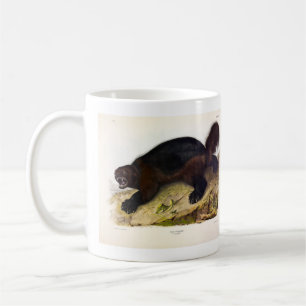 Wolverine oder Wolverene (Gulo gulo) von Audubon Kaffeetasse