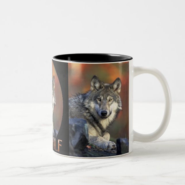 Wolves Gray Wolf Canis Lupis Zweifarbige Tasse (Rechts)