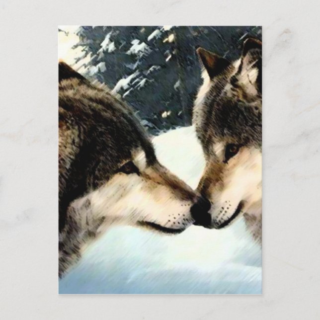 Wolves Wolf Schnee Winterschnee Couple Liebe Postkarte (Vorderseite)