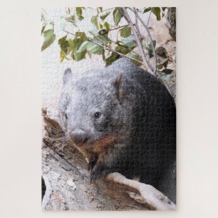 Wombat