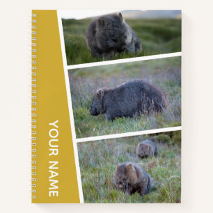 Wombat Australia Foto Collage, Gold Notizbuch