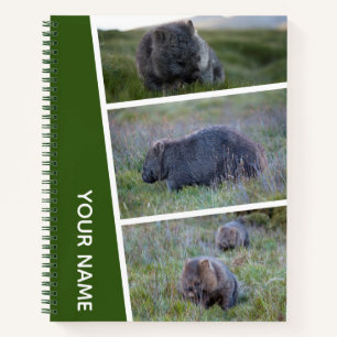 Wombat Australia Foto Collage, grünes Notebook Notizbuch