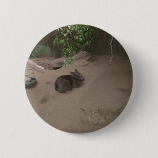 Wombat Button