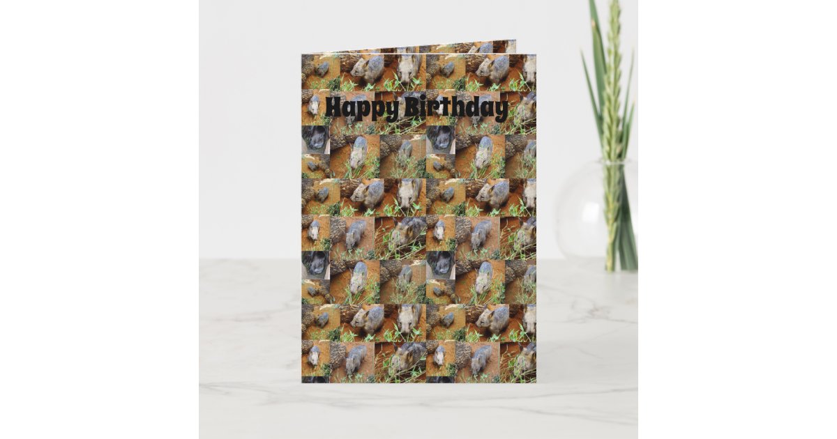 Wombat Foto Collage Geburtstag Karte Zazzle Ch