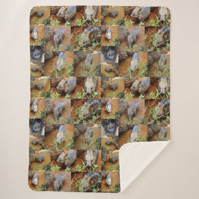 Wombat-FotoCollage, Sherpadecke (Vorderseite)