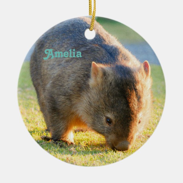 Wombat Fun Cute Name Australian Nature Fotograf Keramik Ornament (Vorne)