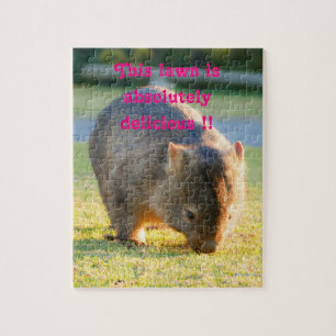 Wombat Funny Niedlich Australian Nature Fotografie
