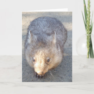 Wombat Grußkarte Karte
