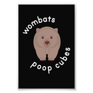 Wombat Kackte Cube Australia Fotodruck