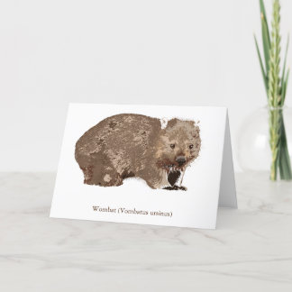 Wombat (Vombatus ursinus) Feiertagskarte