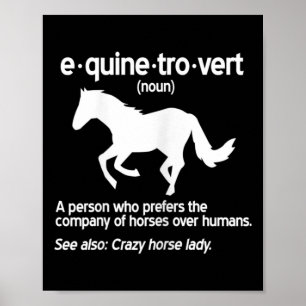 Womens Equinetrovert Definition Pferdeschmädchen Poster