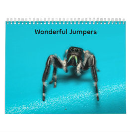 Wonderful Jumpers Kalender