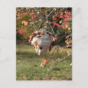 WONDERFUL NEST VON SHARON SHARPE POSTKARTE