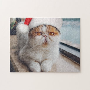 Wonderful persian cat with Santa Claus hat