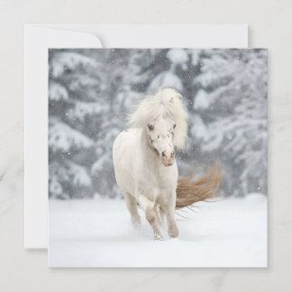 Wonderland Foto Minipferd läuft Karte