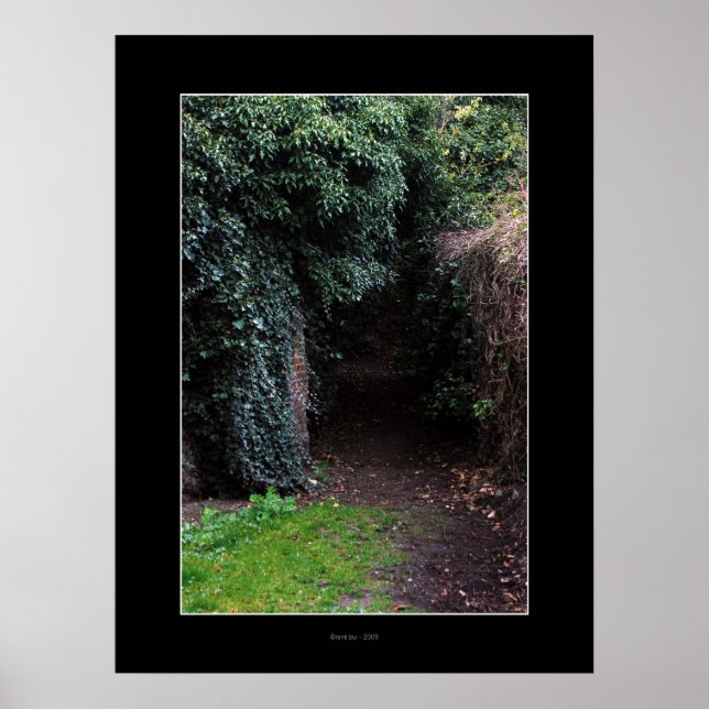 WONDERLAND Poster (Vorne)