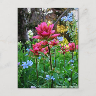 Wondrous-Wildblumen (5) Postkarte