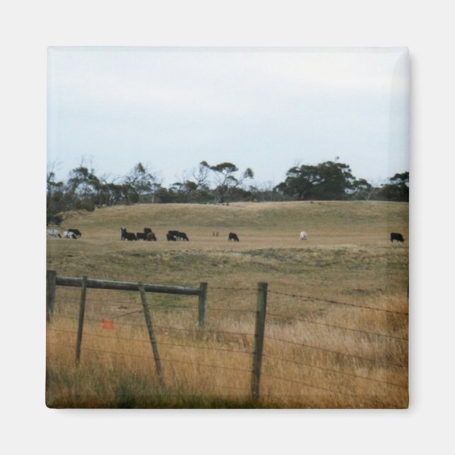 Wonthaggi Magnet (Vorne)