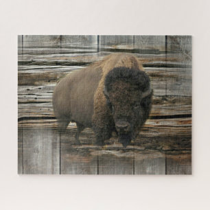 Wood Bison