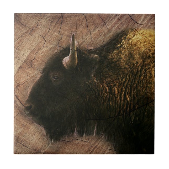 Wood Bison Buffalo Fliese (Vorderseite)