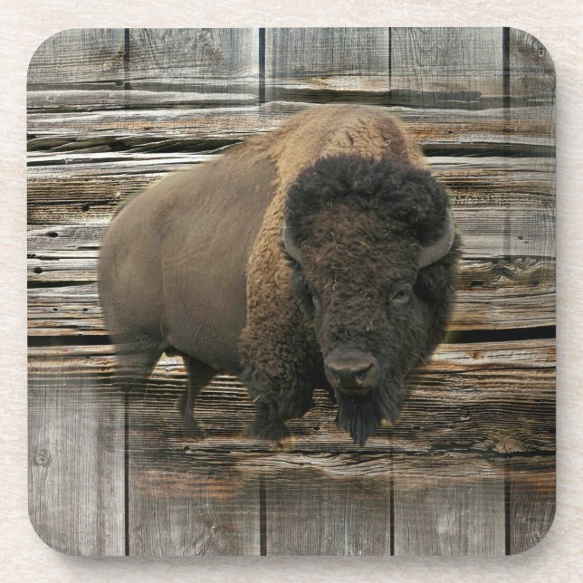 Wood Bison Getränkeuntersetzer (Vorderseite)