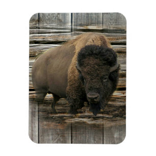 Wood Bison Magnet